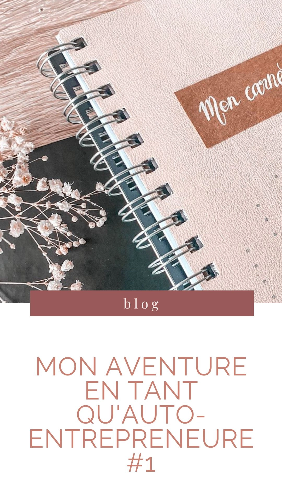 Visuel pinterest Carnet Entrepreneuriat