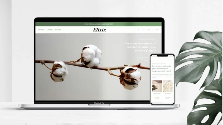 Visuel Article Créer un site web aligné