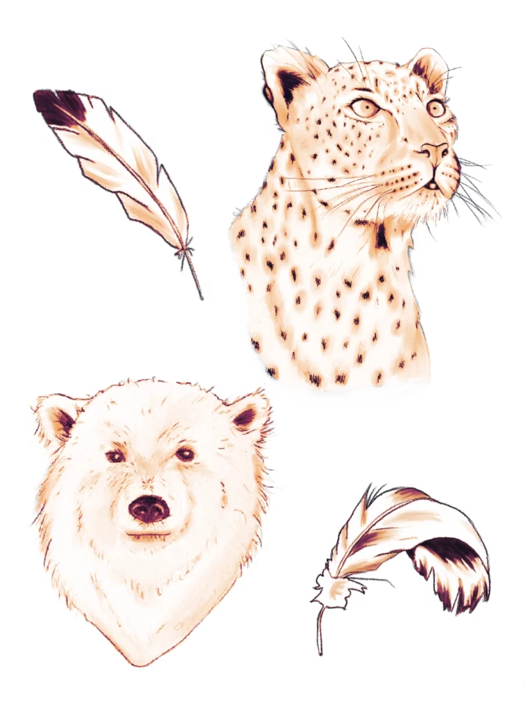Illustrations Animaux Totem Ours Panthère Plume