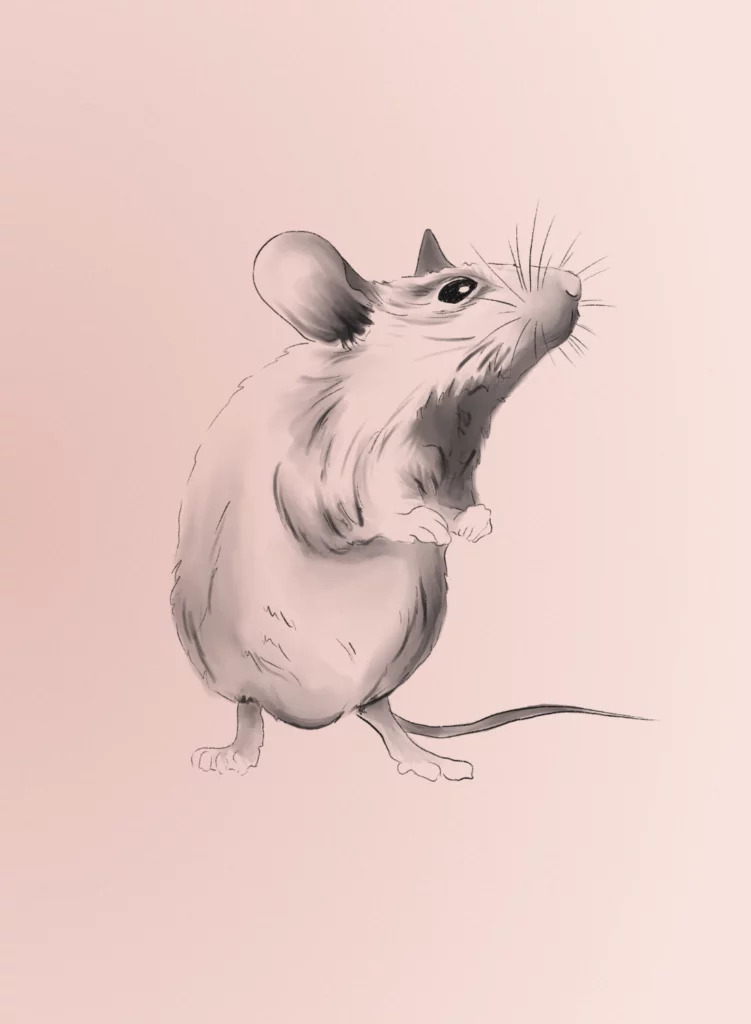 Illustration Croquis Souris