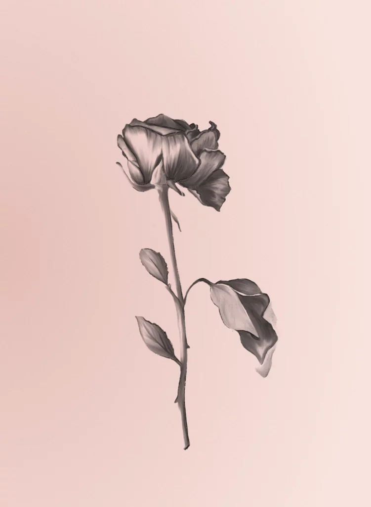 Illustration Croquis Rose