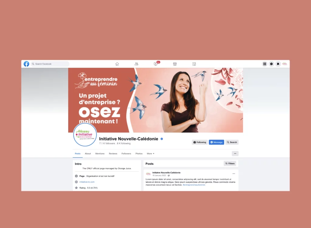 Visuel Réseaux Sociaux Entreprendre au féminin Hirondelles