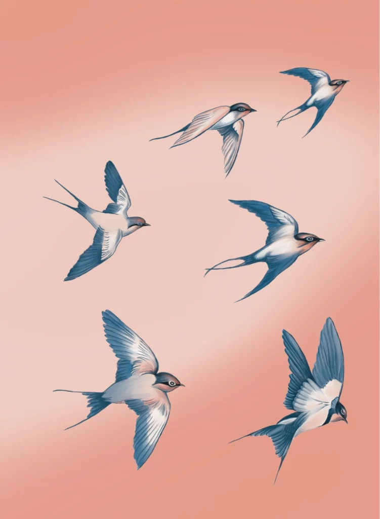 Illustration Envol Hirondelles