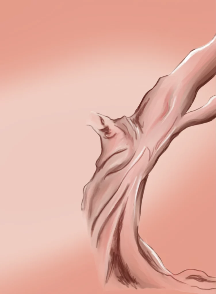 Illustration Tronc d'arbre