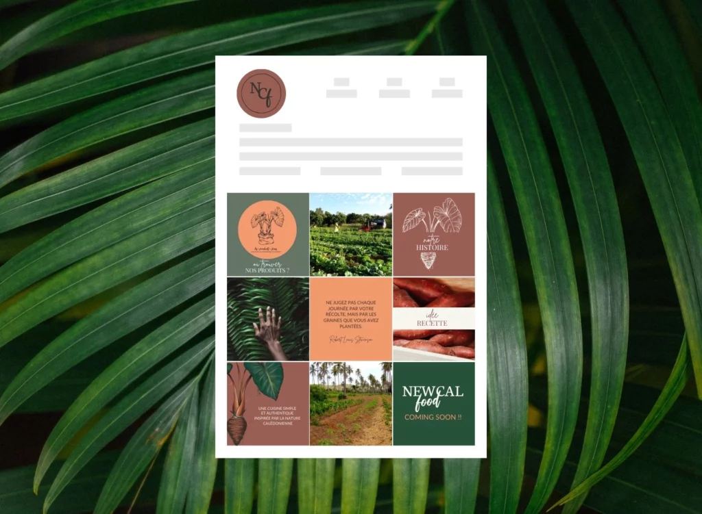 Maquette Feed Instagram NCF Communication de marque