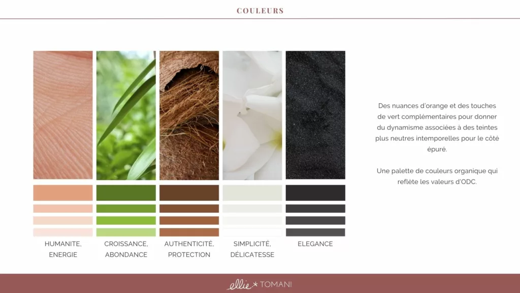 Palette Couleurs ODC