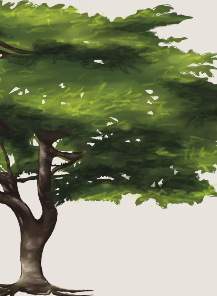 Illustration arbre Timbre Cote Ouest OPT-NC
