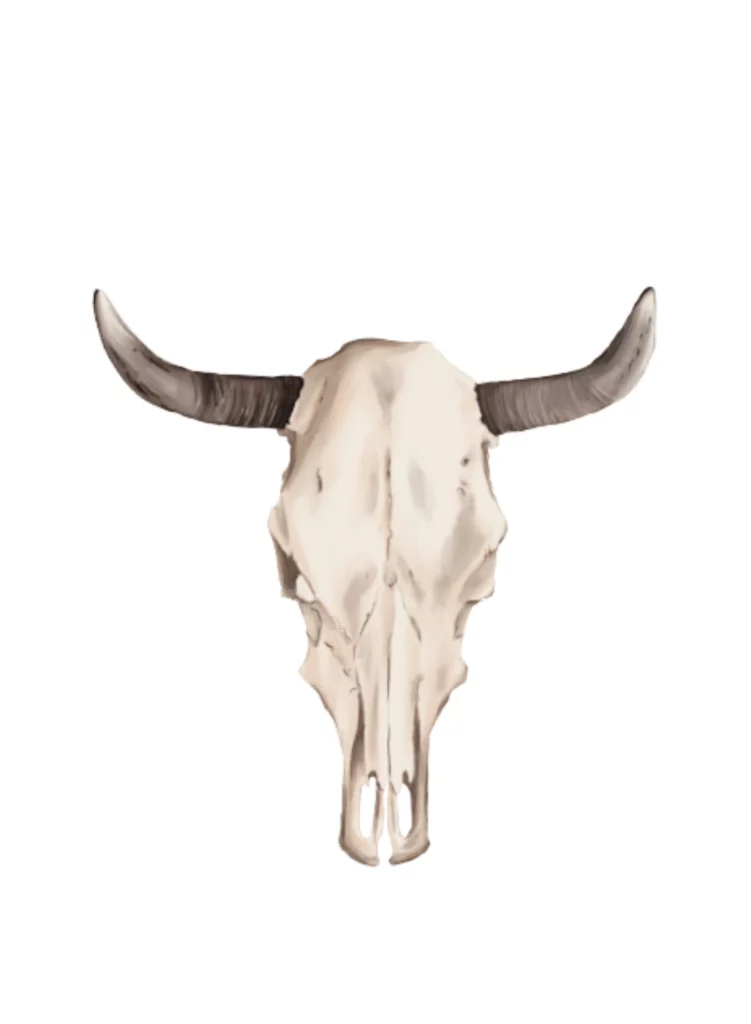 Illustration Crane de boeuf Timbre Cote Ouest OPT-NC